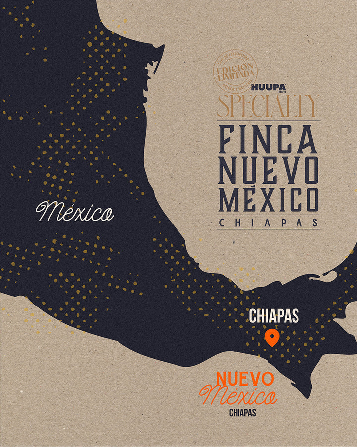 Specialty Coffee: Finca Nuevo México