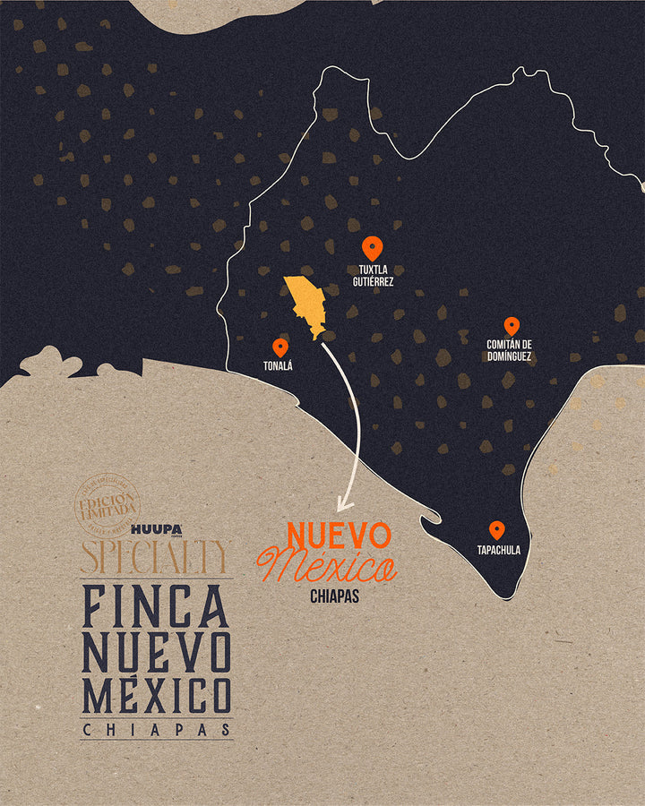 Specialty Coffee: Finca Nuevo México