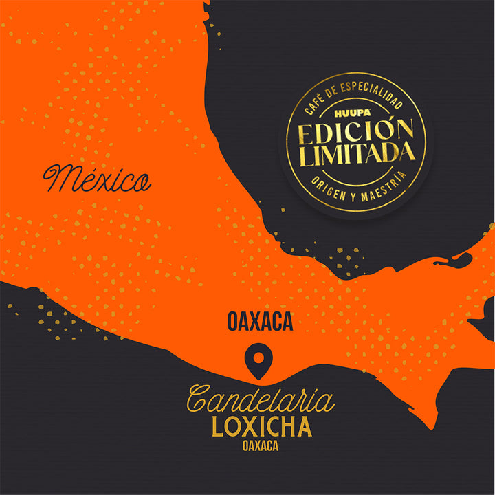 mapa candelaria loxicha