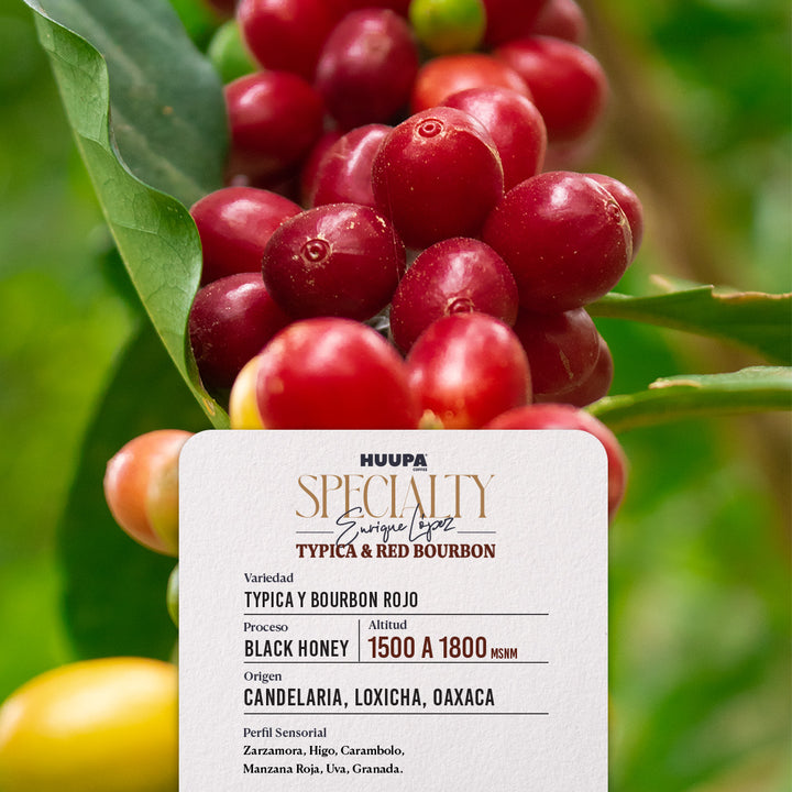 Etiqueta de café de especialidad Huupa Garnica y Caturra proceso black honey 1500 msnm de altura.