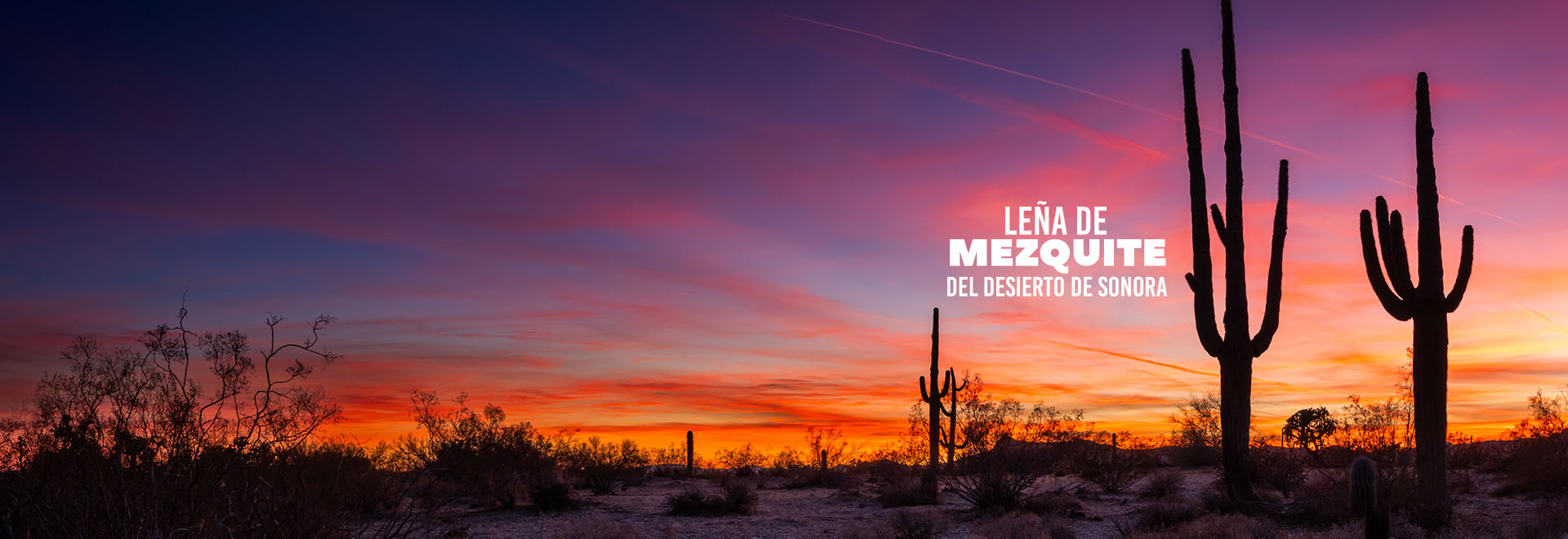 Leña de Mezquite del Desierto de Sonora