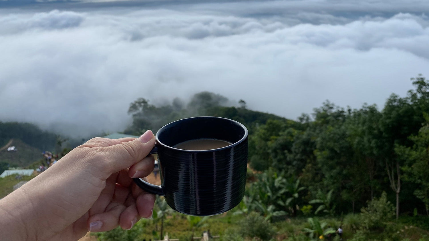 café de altura