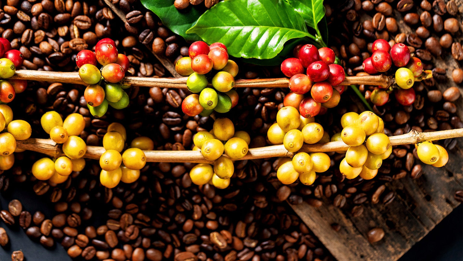 café artesanal mexicano