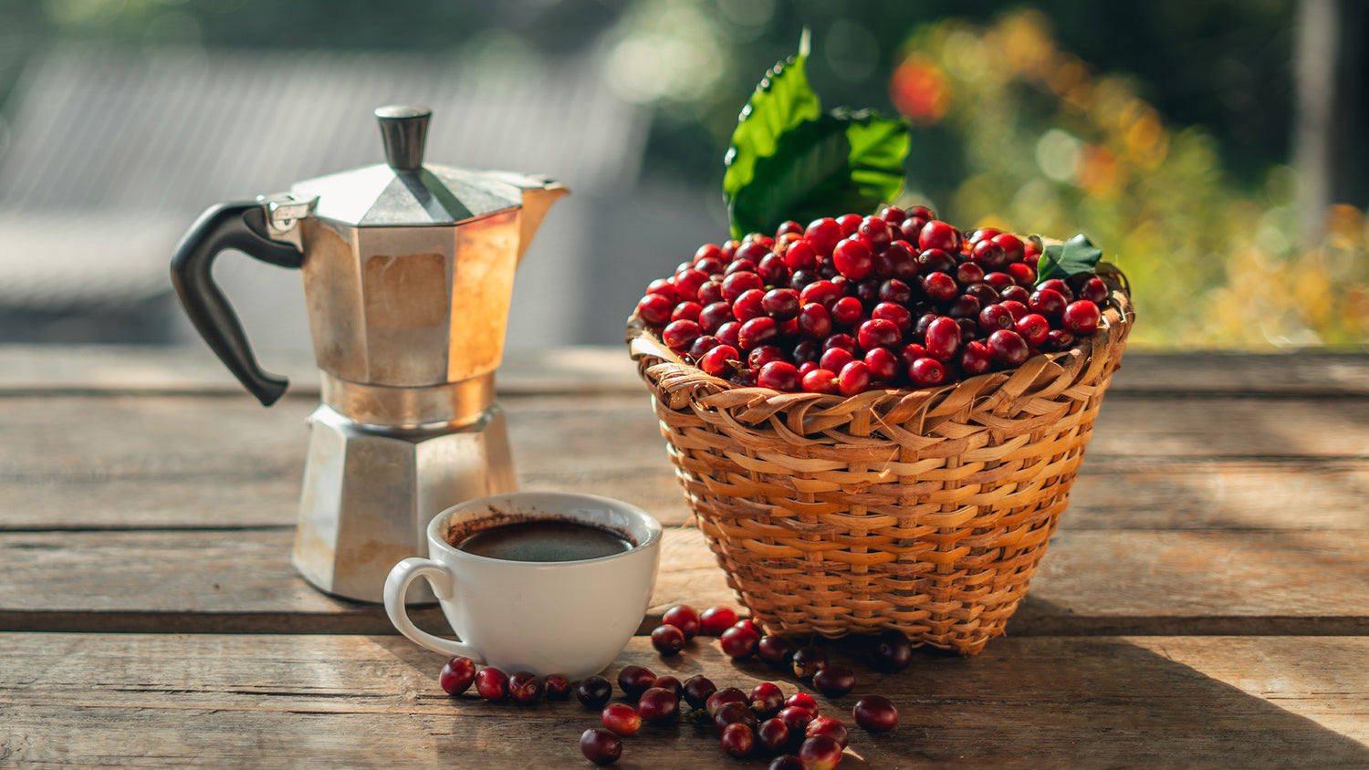 características del café