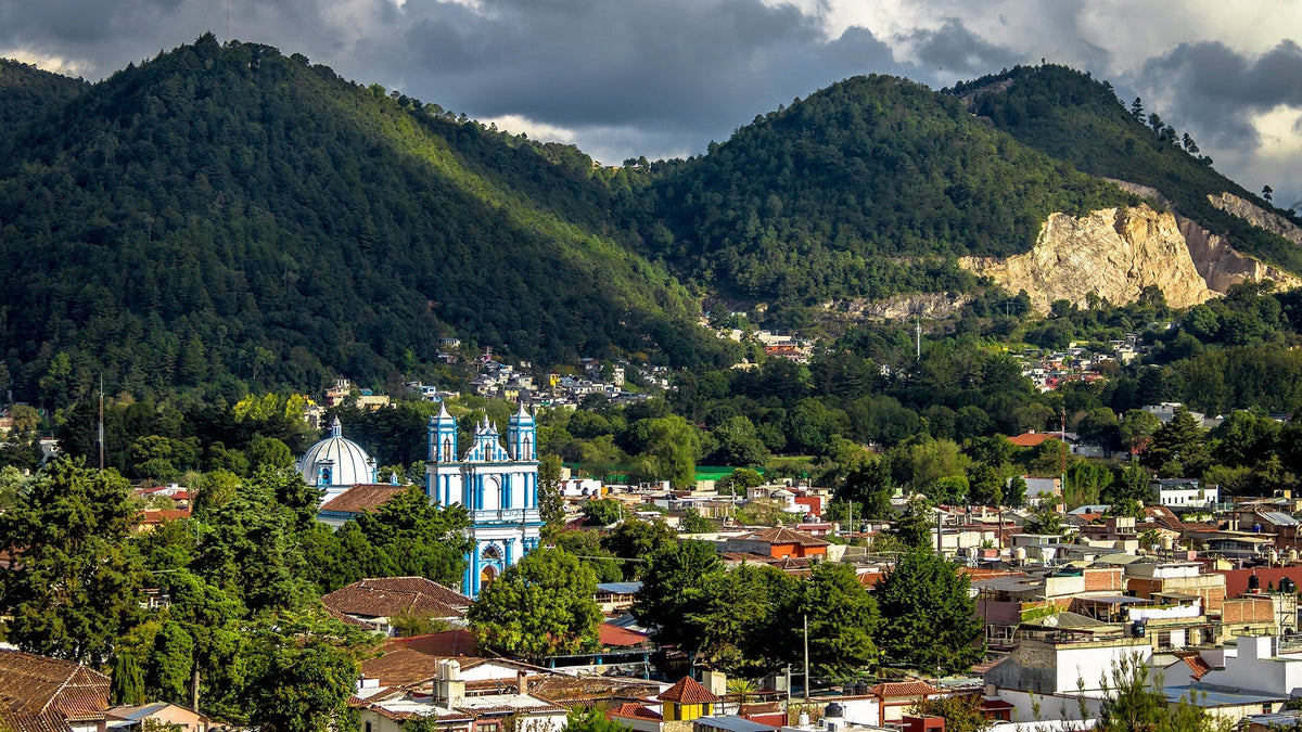 café de chiapas