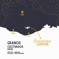 mapa candelaria loxicha