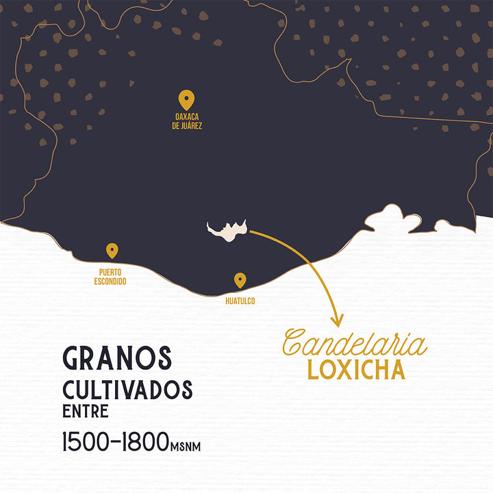 mapa candelaria loxicha