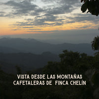 montaña cafetales finca chelín oaxaca