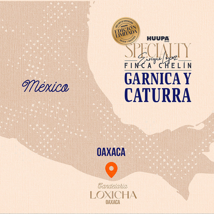 Mapa mostrando donde se produce el café de especialidad Garnica y Caturra marca Huupa