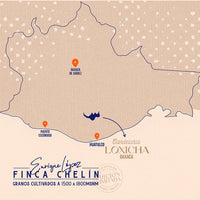 Mapa donde se encuentra finca chelín Candelaria Loxicha Oaxaca