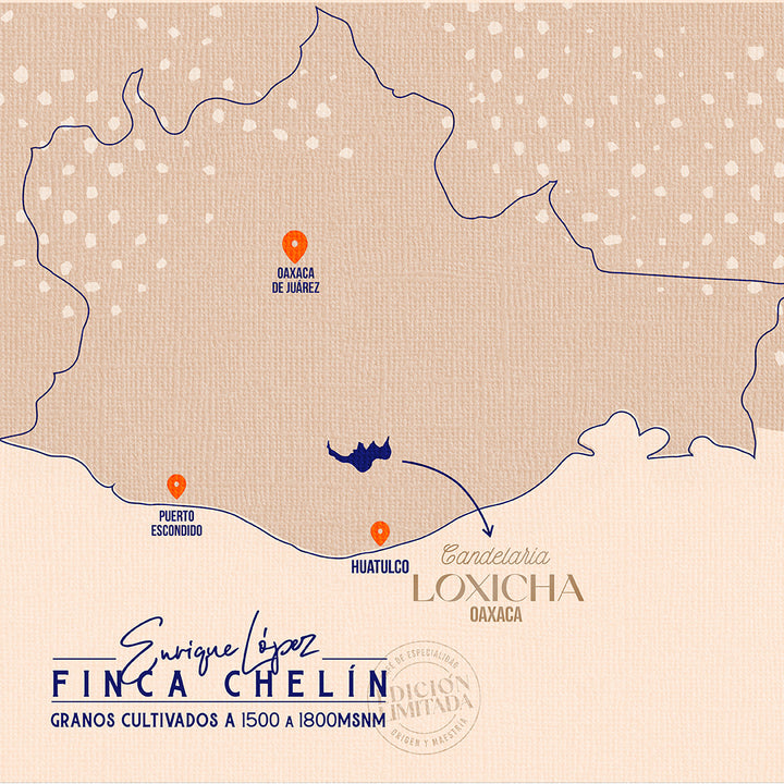 Mapa donde se encuentra finca chelín Candelaria Loxicha Oaxaca
