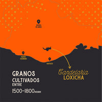 mapa candelaria loxicha oaxaca