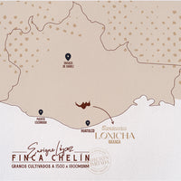 Mapa donde se encuentra finca chelín Candelaria Loxicha Oaxaca