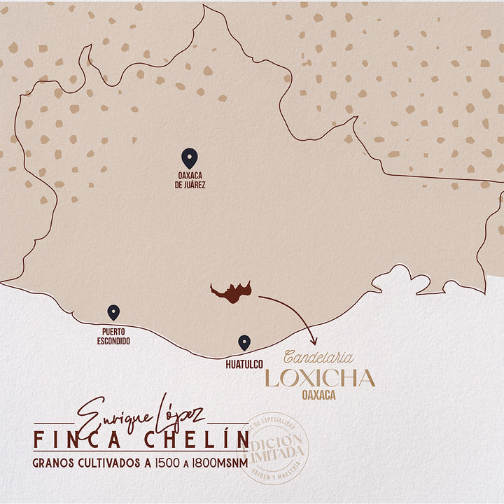 Mapa donde se encuentra finca chelín Candelaria Loxicha Oaxaca
