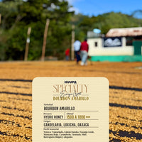 Etiqueta de café de especialidad Huupa Bourbon Amarillo proceso hydro honey 1500 a 1800 msnm de altura.