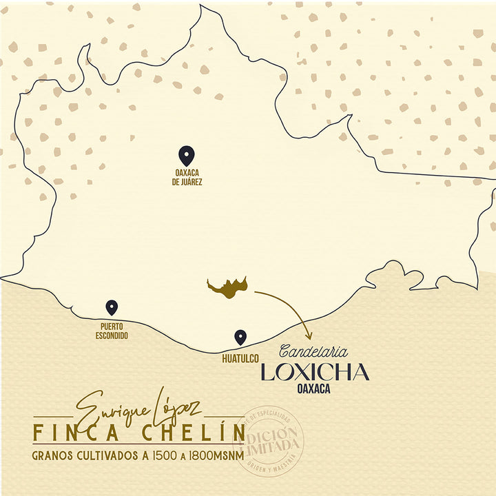 Mapa en fondo beige mostrando donde se encuentra finca chelín Candelaria Loxicha Oaxaca