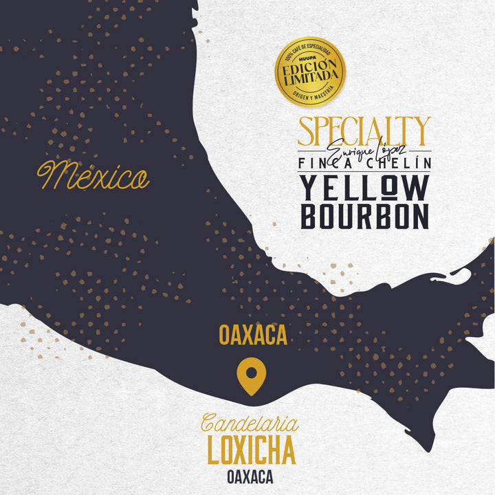 Mapa Finca Chelín Candelaria Locicha Oaxaca México 