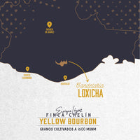Mapa Finca Chelín Ubicación Candelaria Locicha Oaxaca México 1600 MSNM