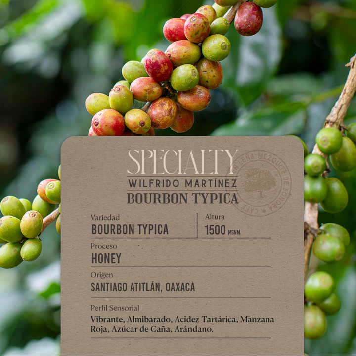 Etiqueta de café de especialidad Huupa Bourbon Typica proceso honey 1500 msnm de altura.