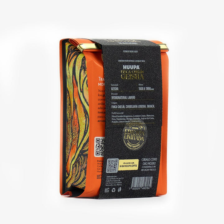 parte trasera geisha