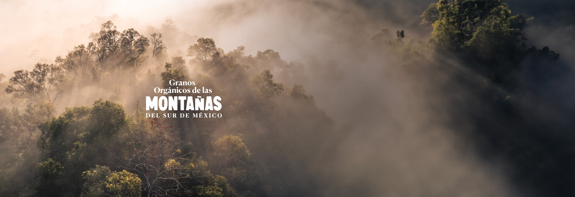 Granos de Café de las Montañas del Sur de México